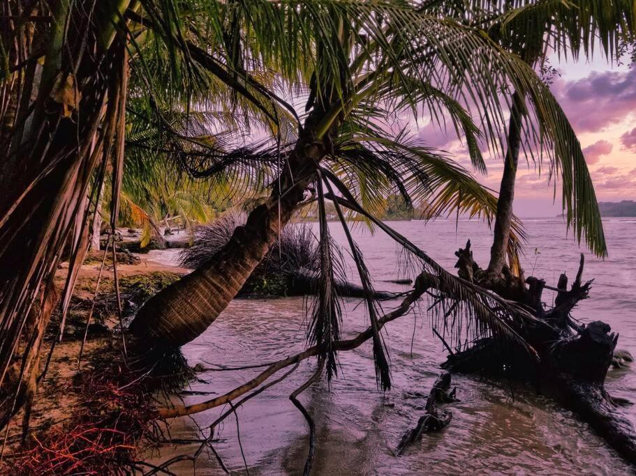 Poetry Garden Bocas Town Colon Island Villa Exterior photo